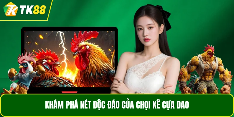 Khám phá nét độc đáo của chọi kê cựa dao Khám phá nét độc đáo của chọi kê cựa dao
